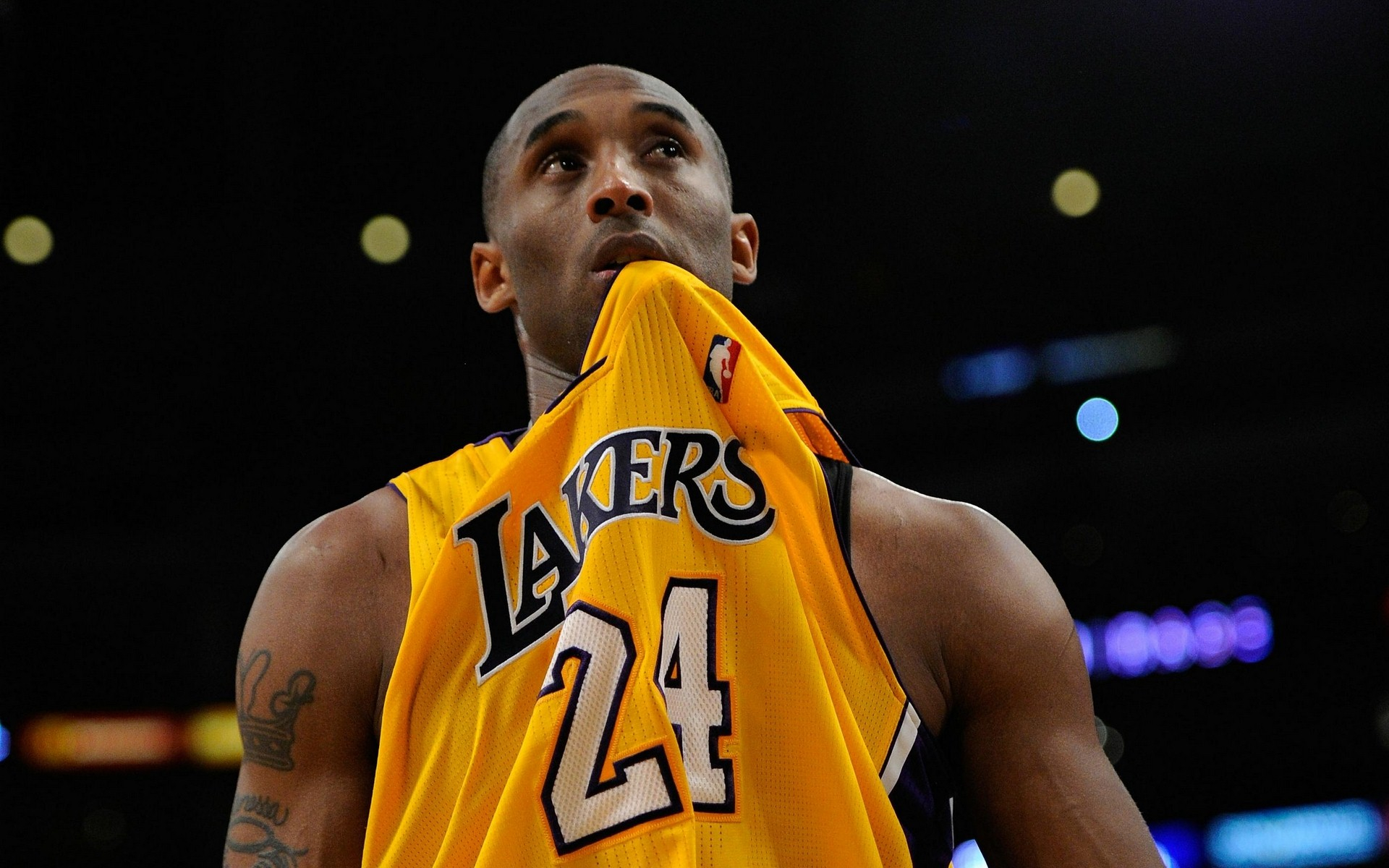 季的球迷 季的球迷